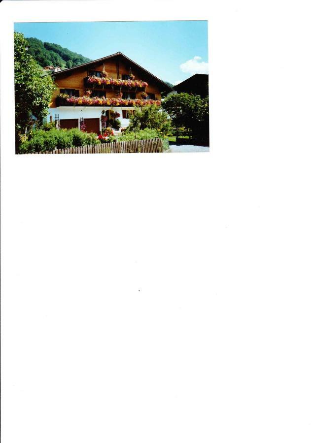Apartment Am Bach Mellau Kültér fotó